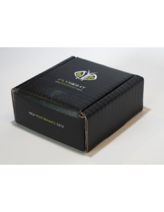 Flysight 2 GPS Tracker 2